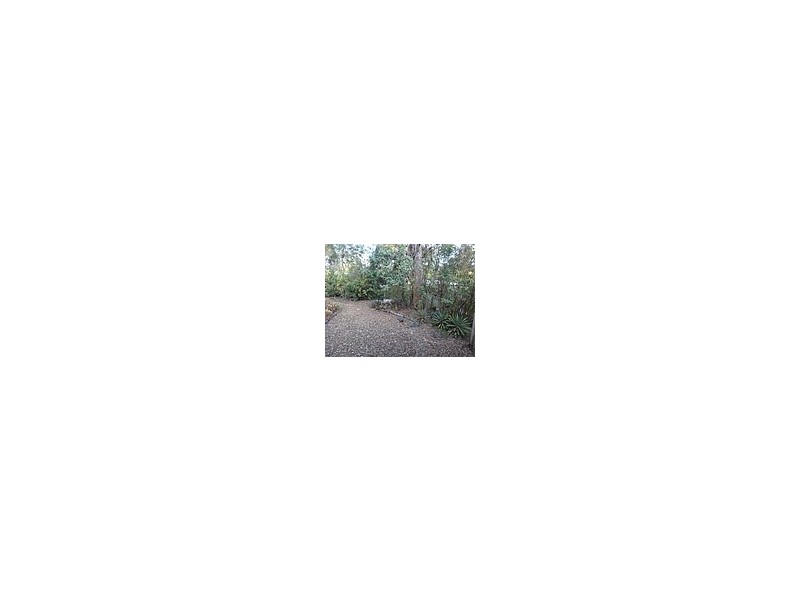 19 Kate Street, Indooroopilly QLD 4068