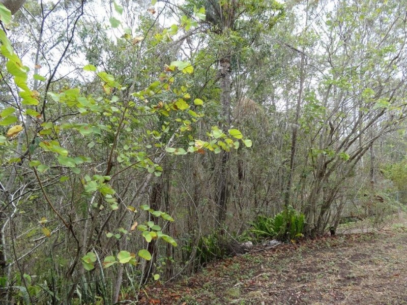 98 Boundary Road, Indooroopilly QLD 4068