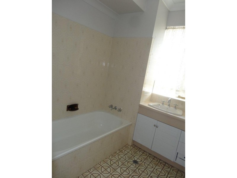 1/31 Payne Street, Indooroopilly QLD 4068