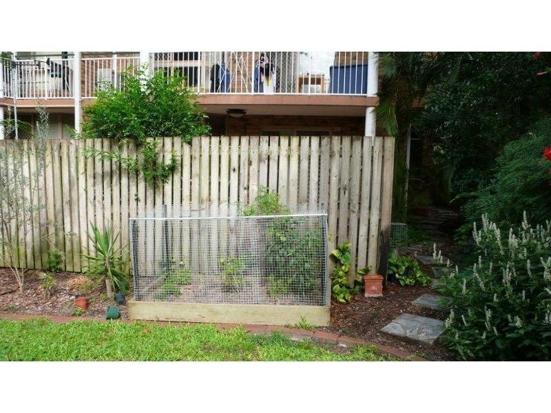 3/115 Central Avenue, Indooroopilly QLD 4068