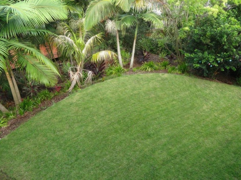 26 Clarence Road, Indooroopilly QLD 4068