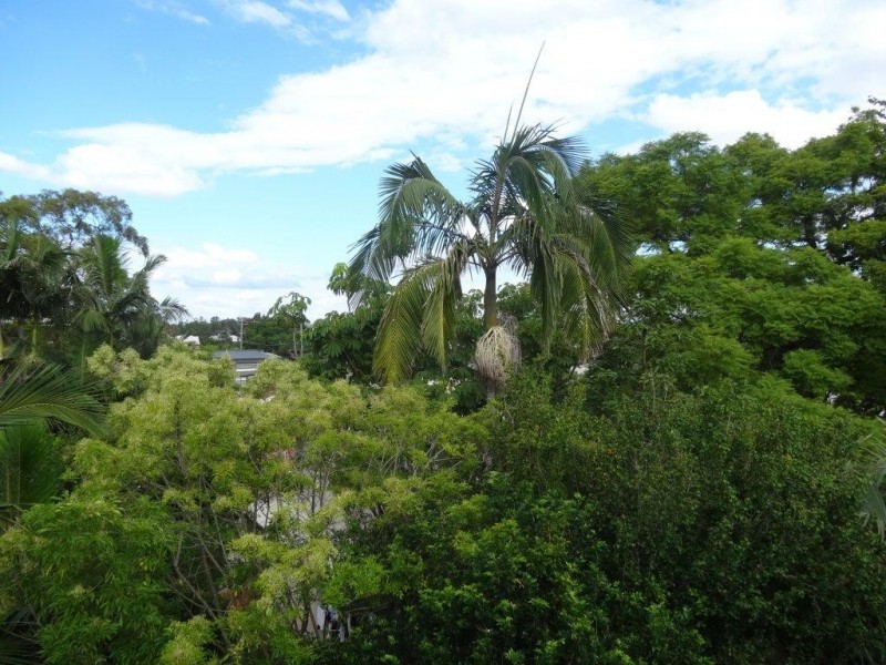 26 Clarence Road, Indooroopilly QLD 4068