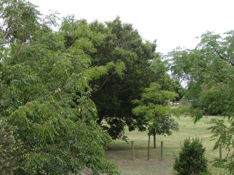 82 White Street, Graceville QLD 4075