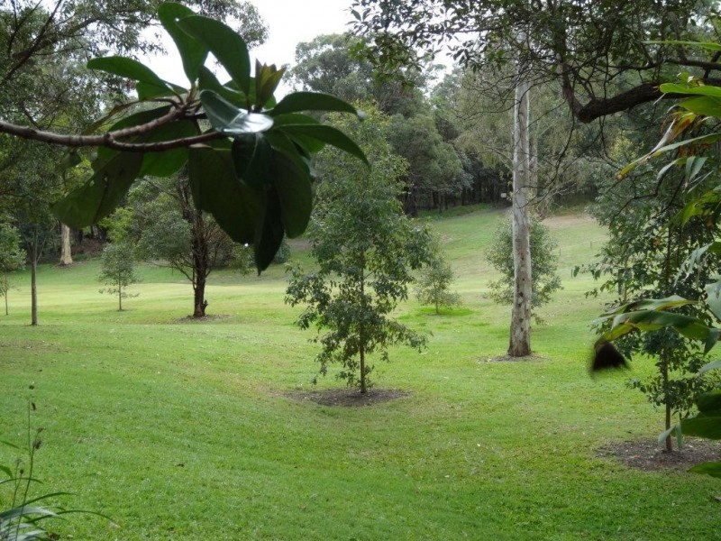 7a Castile Street, Indooroopilly QLD 4068