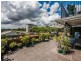 8/16 Foxton Street, Indooroopilly QLD 4068
