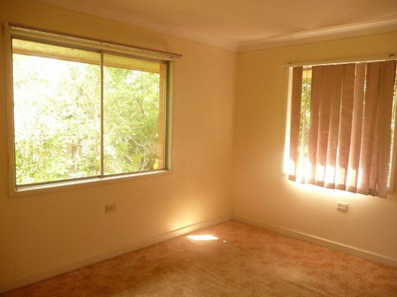 19. Napier Street, St Lucia QLD 4067