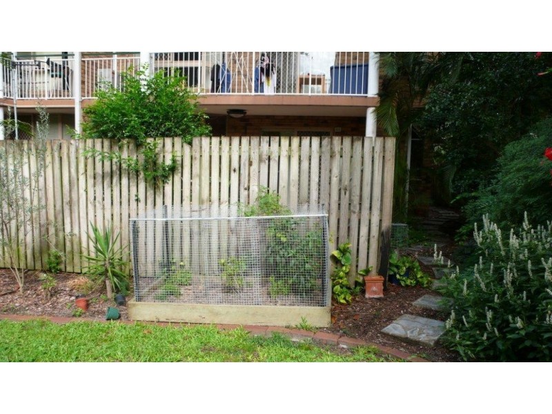 3/115. Central Avenue, Indooroopilly QLD 4068
