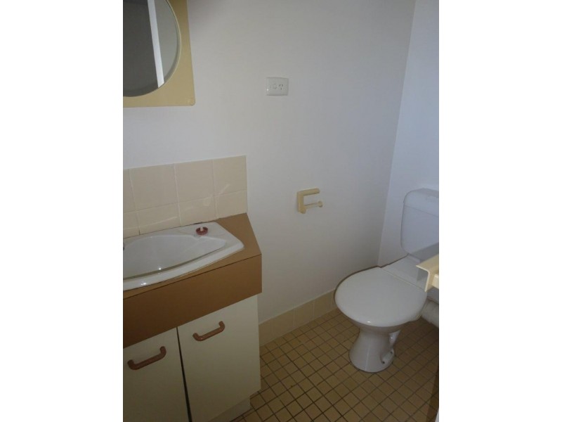 2/114 Carmody Road, St Lucia QLD 4067