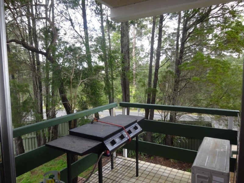 3/208 Carmody Road, St Lucia QLD 4067