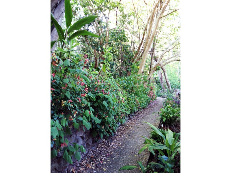 9 Ormond Terrace, Indooroopilly QLD 4068