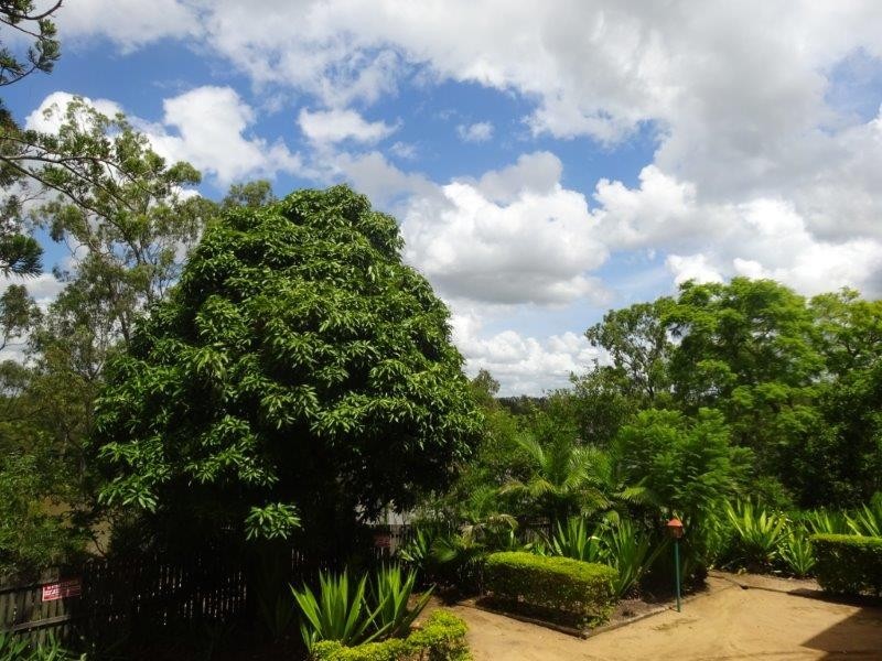 2/49 Riverview Terrace, Indooroopilly QLD 4068