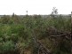 Lot 94 Fairview Road, Hahndorf SA 5245