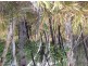 Lot 94 Fairview Road, Hahndorf SA 5245