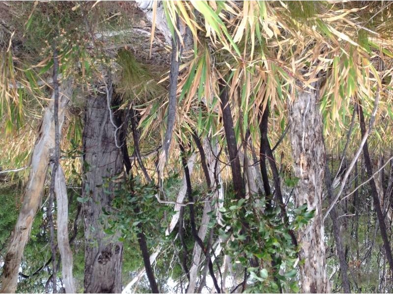Lot 94 Fairview Road, Hahndorf SA 5245