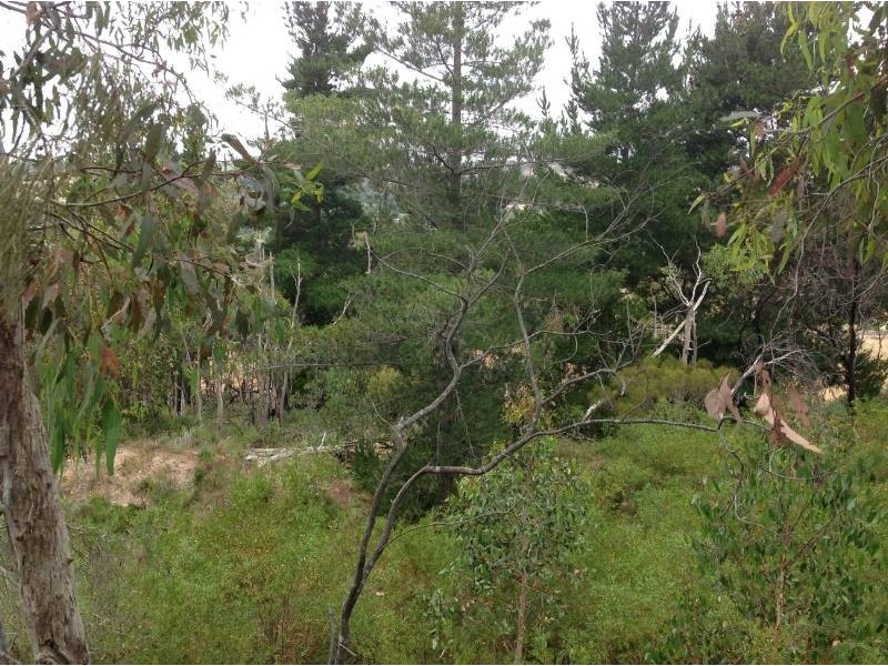 Lot 94 Fairview Road, Hahndorf SA 5245
