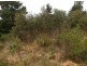 Lot 94 Fairview Road, Hahndorf SA 5245