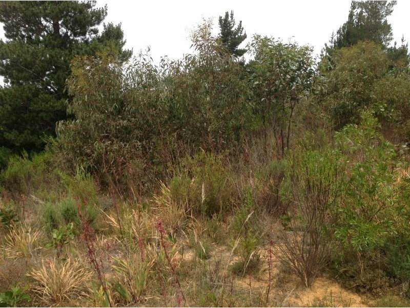 Lot 94 Fairview Road, Hahndorf SA 5245