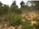 Lot 94 Fairview Road, Hahndorf SA 5245