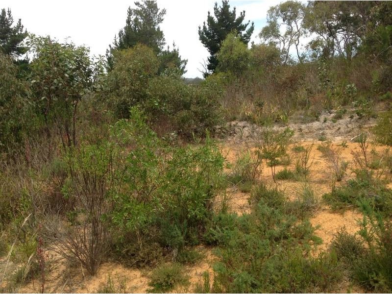 Lot 94 Fairview Road, Hahndorf SA 5245