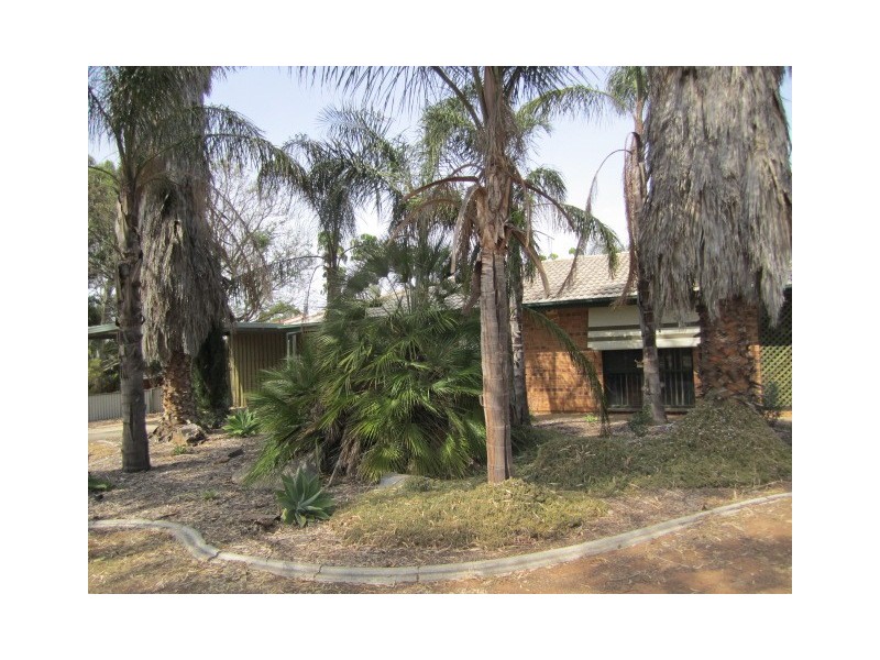 46 Piper Street, Parafield Gardens SA 5107