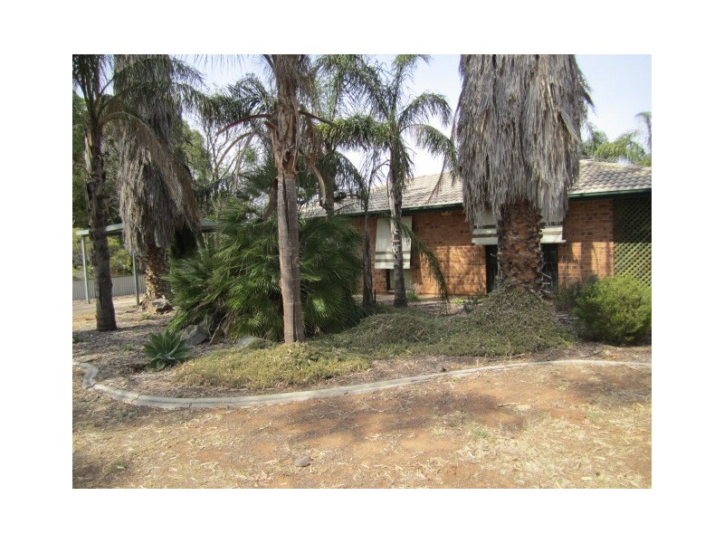 46 Piper Street, Parafield Gardens SA 5107