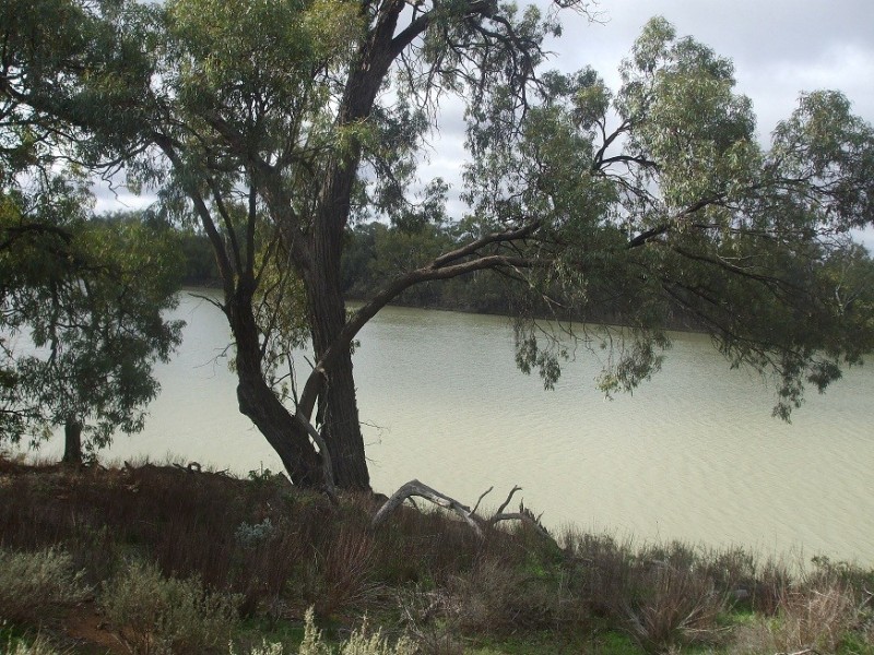 168 Riverboat Road, Cadell SA 5321
