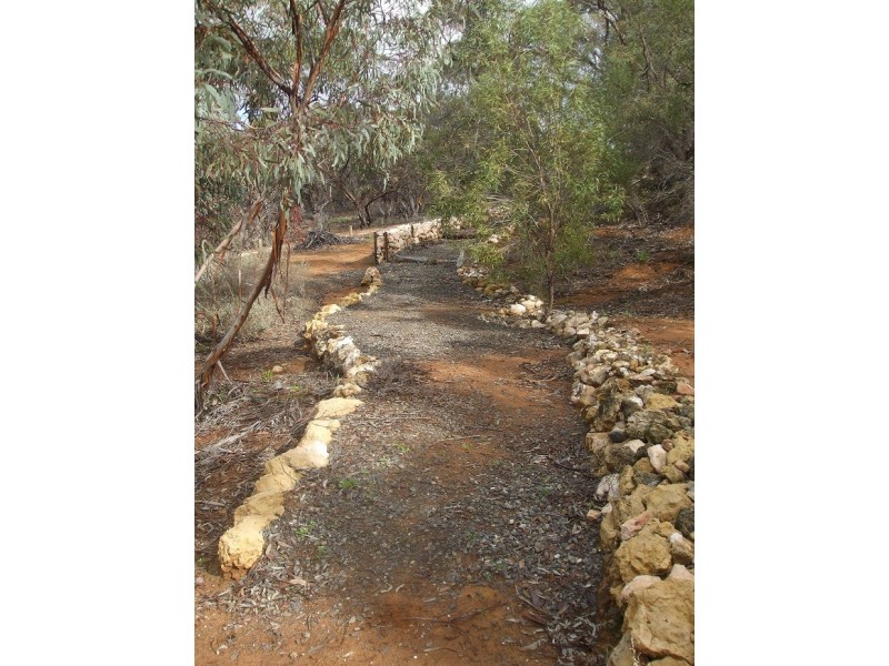 168 Riverboat Road, Cadell SA 5321
