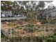168 Riverboat Road, Cadell SA 5321