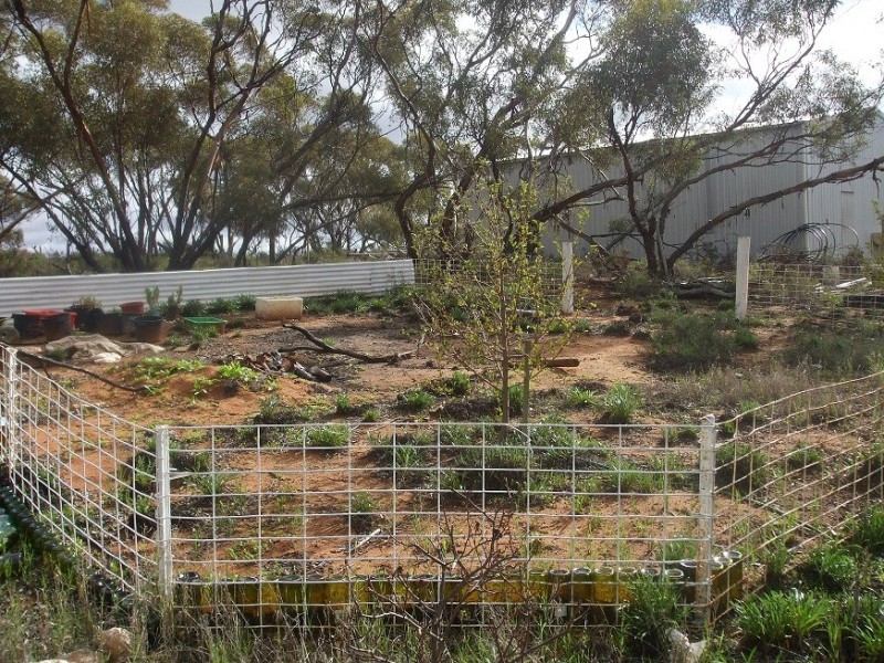 168 Riverboat Road, Cadell SA 5321