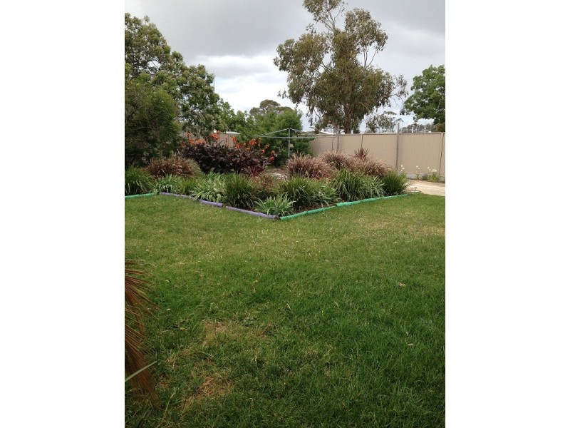 11 Alexander Grove, Woodville Gardens SA 5012