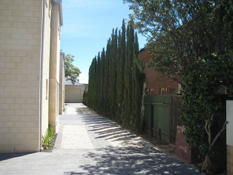 3/15 Sydney Street, Glenside SA 5065