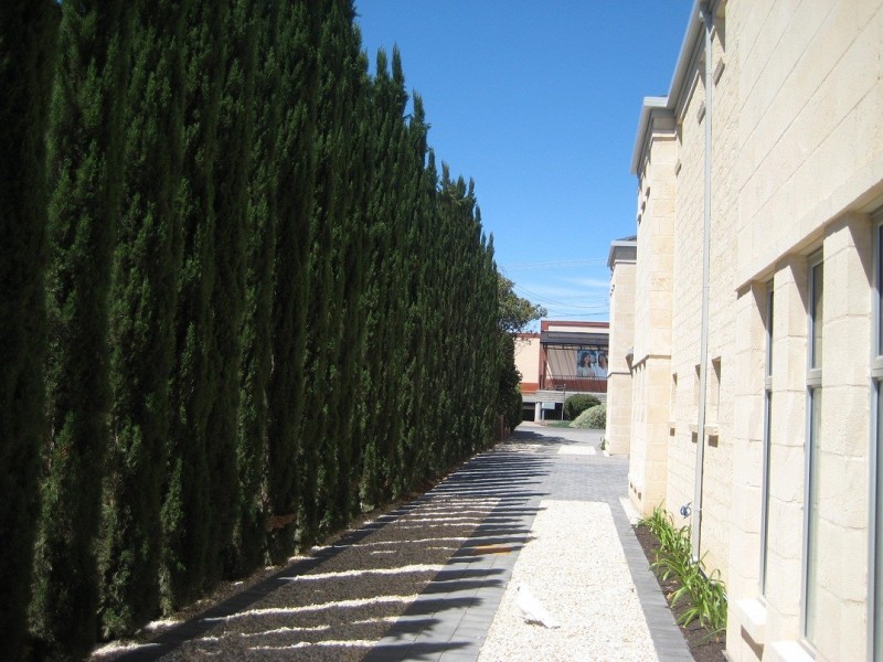 3/15 Sydney Street, Glenside SA 5065