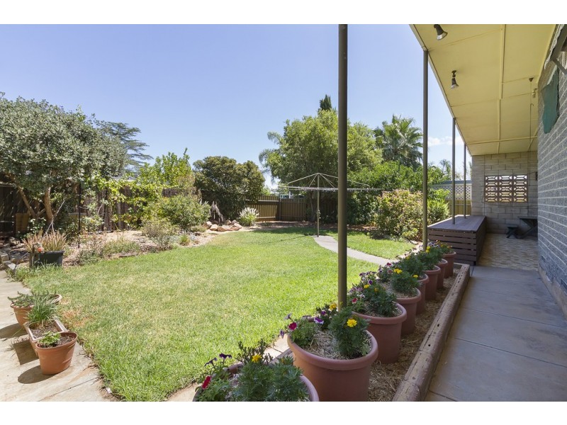 41 Williamson Road, Para Hills SA 5096