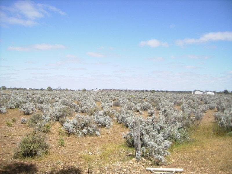 Lot 13 Cemetary Road, Morgan SA 5320