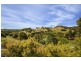 36 Spring Valley Rd, Cudgera Creek NSW 2484