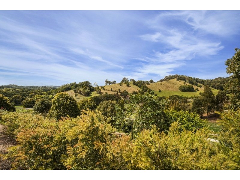 36 Spring Valley Rd, Cudgera Creek NSW 2484