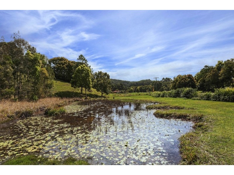 36 Spring Valley Rd, Cudgera Creek NSW 2484