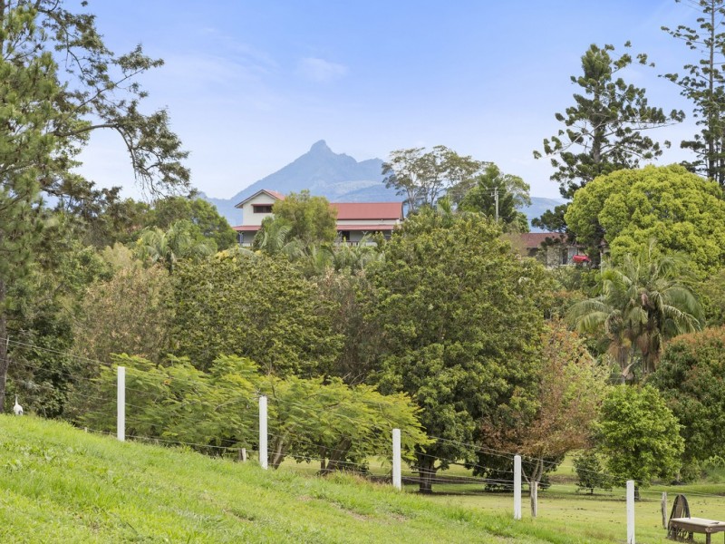 197 Clothiers Creek Rd, Nunderi NSW 2484