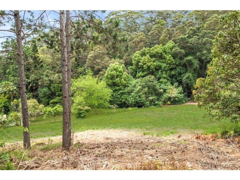 445 Clothiers Creek Road, Nunderi NSW 2484
