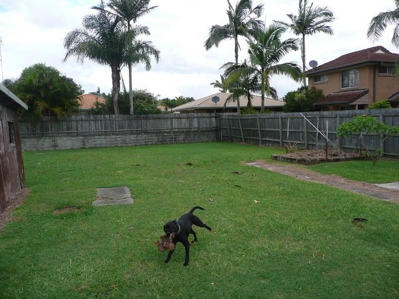 14 Coronation Avenue, Pottsville NSW 2489