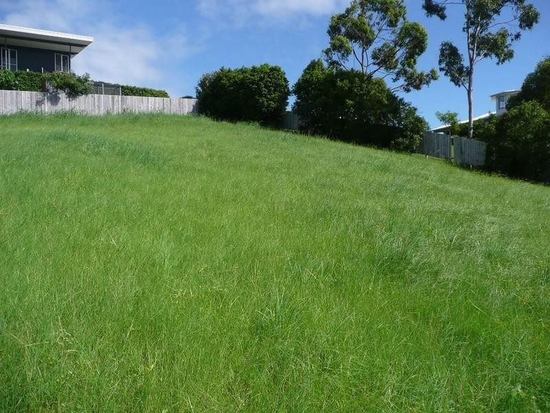 24 Hovea Drive, Pottsville NSW 2489