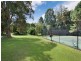 686 Clothiers Creek Road, Clothiers Creek NSW 2484