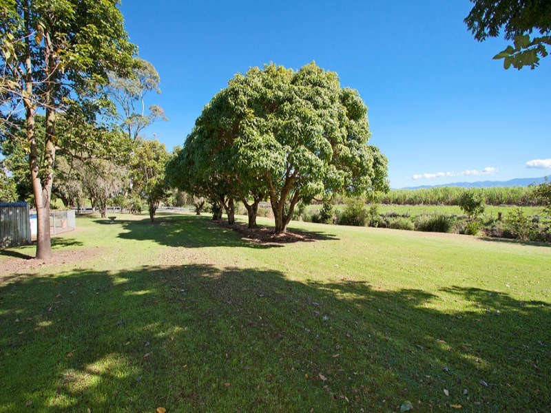 65 Eviron Road, Condong NSW 2484
