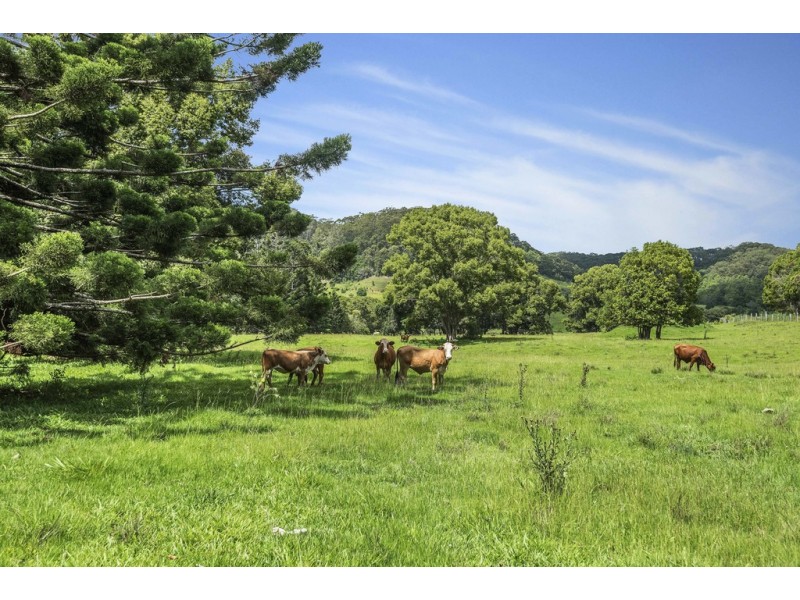 803-809 Cudgera Creek Road, Cudgera Creek NSW 2484