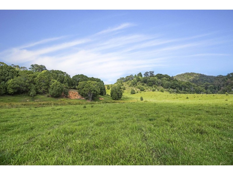 803-809 Cudgera Creek Road, Cudgera Creek NSW 2484