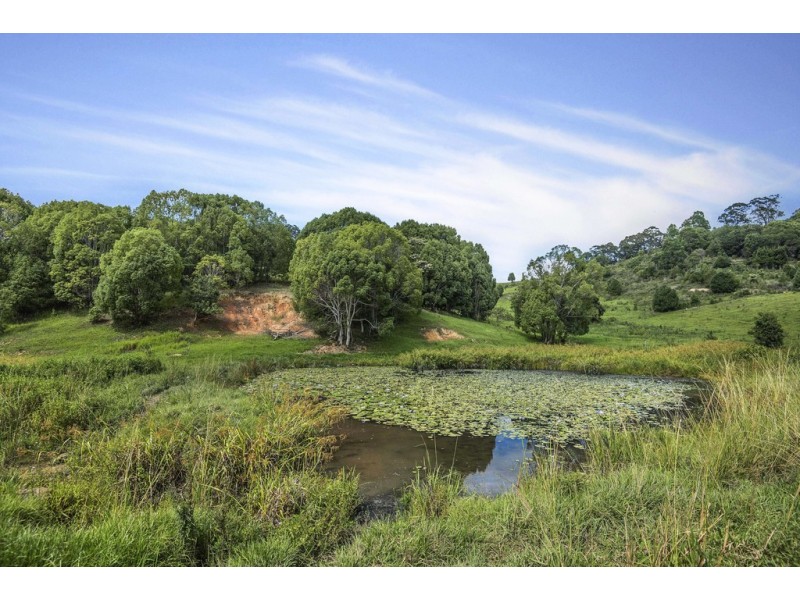 803-809 Cudgera Creek Road, Cudgera Creek NSW 2484