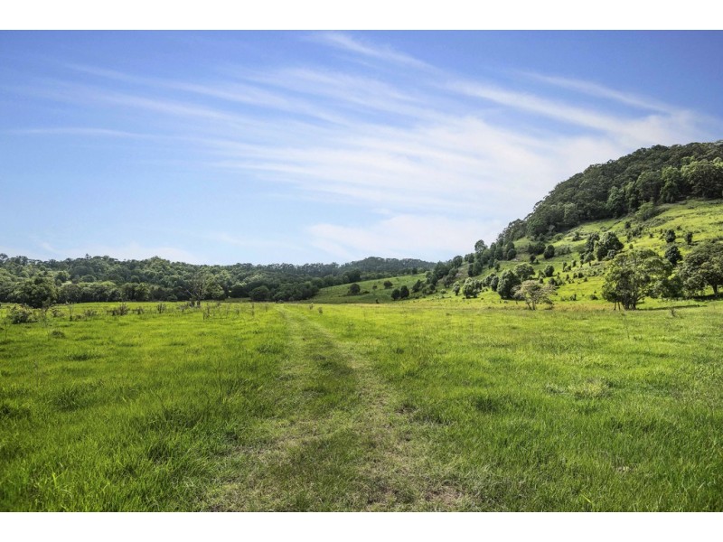 803-809 Cudgera Creek Road, Cudgera Creek NSW 2484