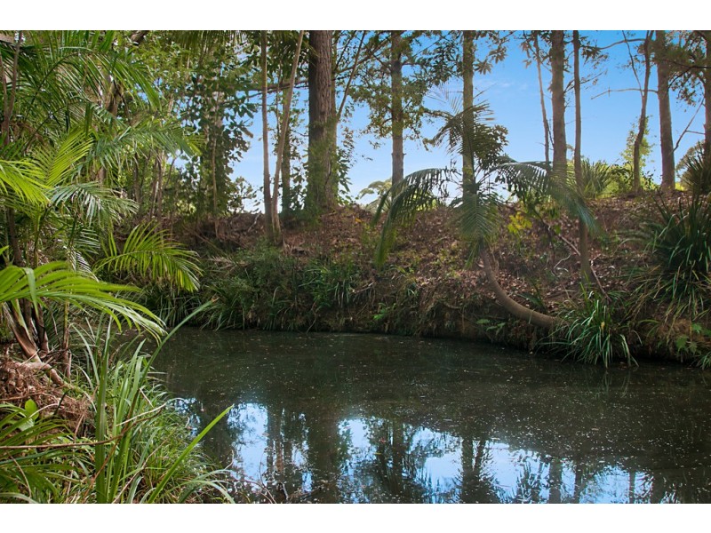 803-809 Cudgera Creek Road, Cudgera Creek NSW 2484