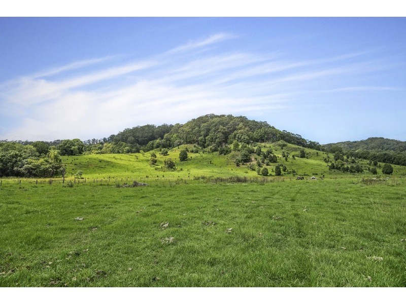 803-809 Cudgera Creek Road, Cudgera Creek NSW 2484