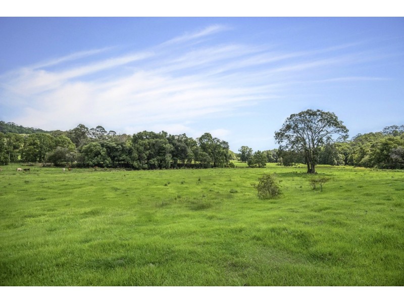 803-809 Cudgera Creek Road, Cudgera Creek NSW 2484